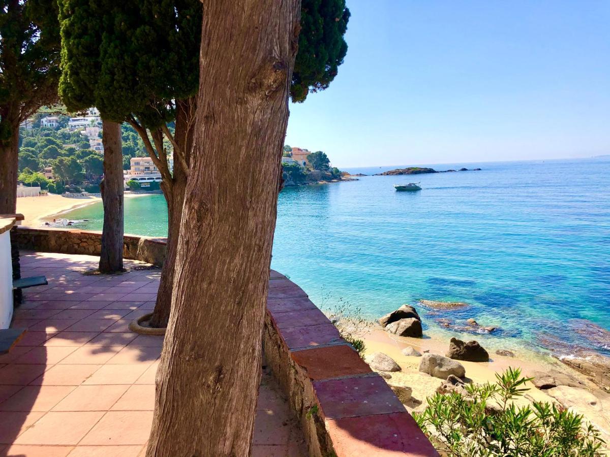 Magnifique Appartement En Front De Mer, Caneylles Roses Eksteriør bilde